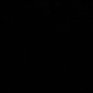 Meet your Posher, Noel